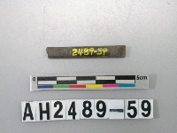 藏品(磨製石針)的圖片